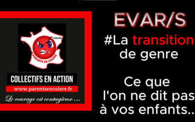 Un jour = Un post #75